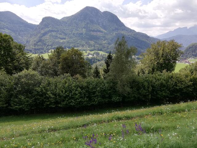 Foto: Veronika Frank