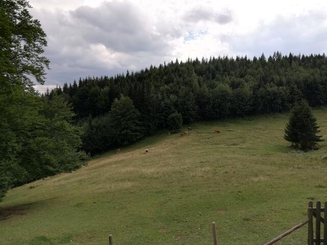 Foto: Veronika Frank