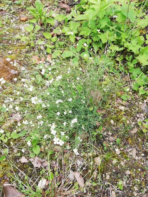 Foto: Veronika Frank