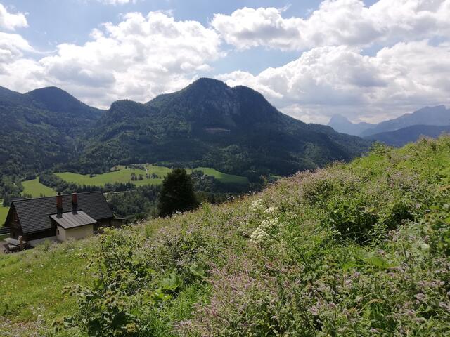 Foto: Veronika Frank