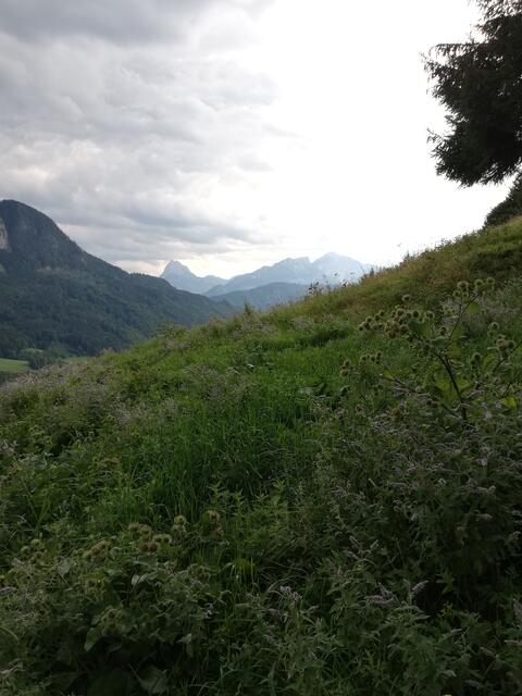 Foto: Veronika Frank