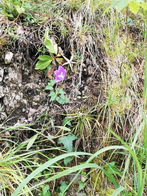 Foto: Veronika Frank