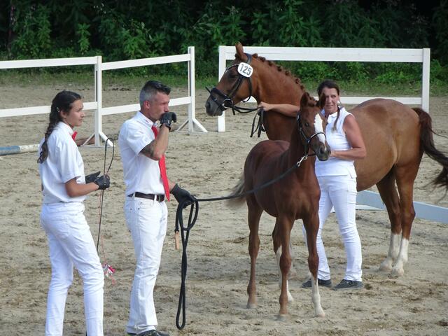 Foto: Peter Sattler