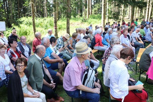 Gut gefüllte Reihen | Foto: Gerhard Langmann
