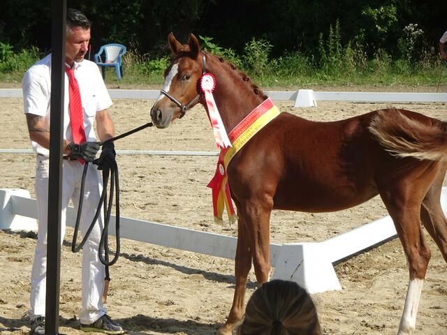 Foto: Peter Sattler
