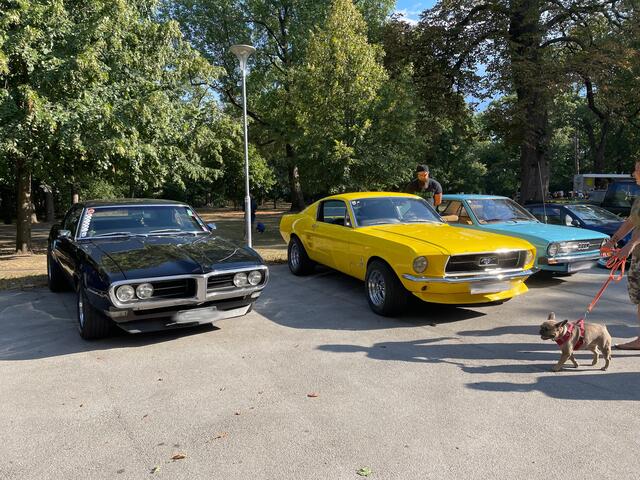 Alles nur nicht unauffällig, der Ford Mustang. | Foto: Katrin Pirzl