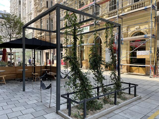 Die Pergolas sollen mehr Grün in die Gasse bringen. | Foto: Miriam Al Kafur