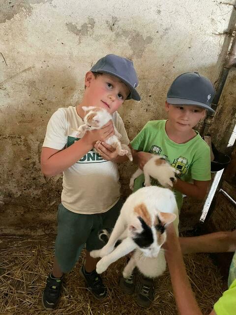 Foto: Barbara Kitzmüller