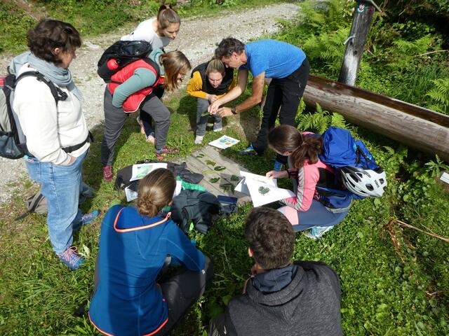 KlimaPädagogInnen in Aktion beim Bergwald-Modul am Brunnelboden im Naturpark Karwendel.  | Foto: © Anton Heufelder