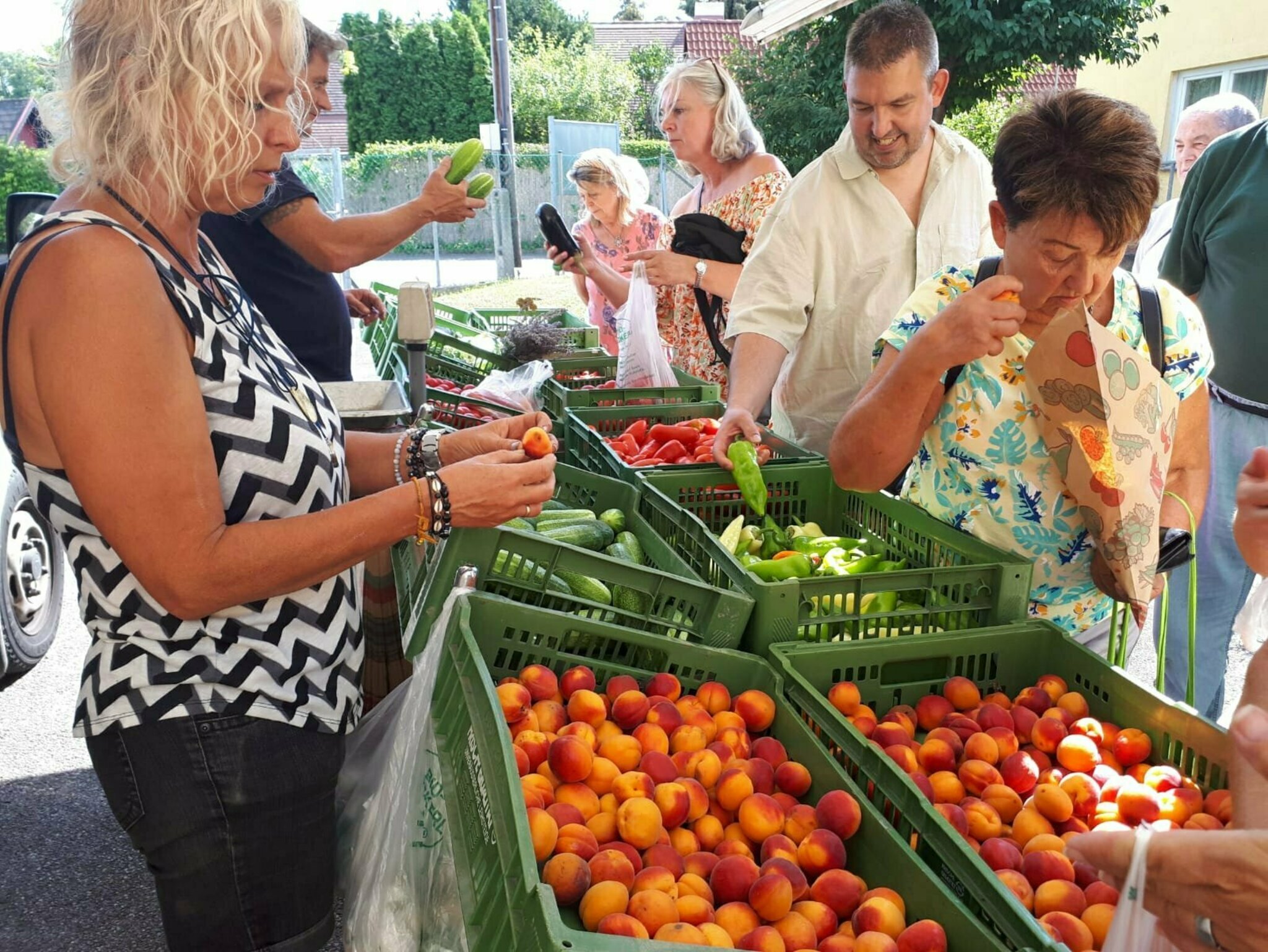 Vom Grätzl für's Grätzl Gartensiedlung Neugebäude lädt zu Markttagen
