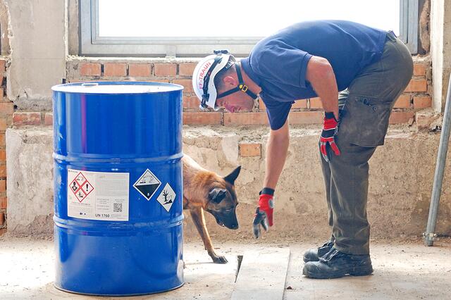 Markus Gruber trainiert fleißig mit "Boom" für die Weltmeisterschaft. | Foto: Edi Penz