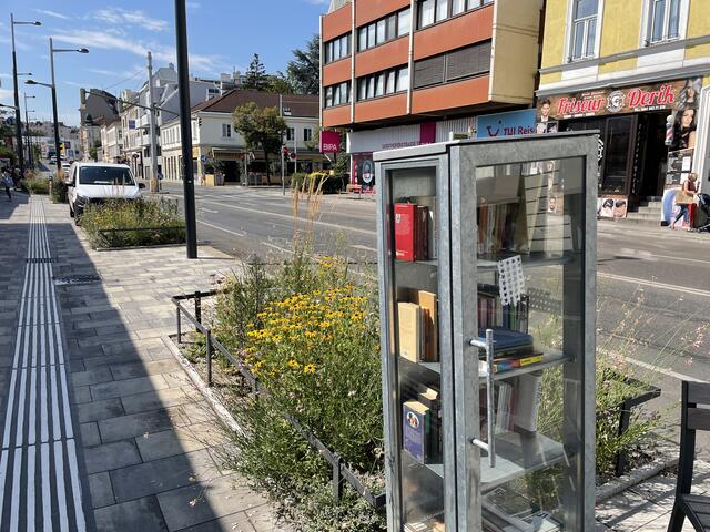 Am 27. Juli 2022, also nur rund acht Monate nach dem Pflanzen, sieht es am Platzl so aus. Vier von fünf jungen Ulmen sind verschwunden. | Foto: Johannes Reiterits