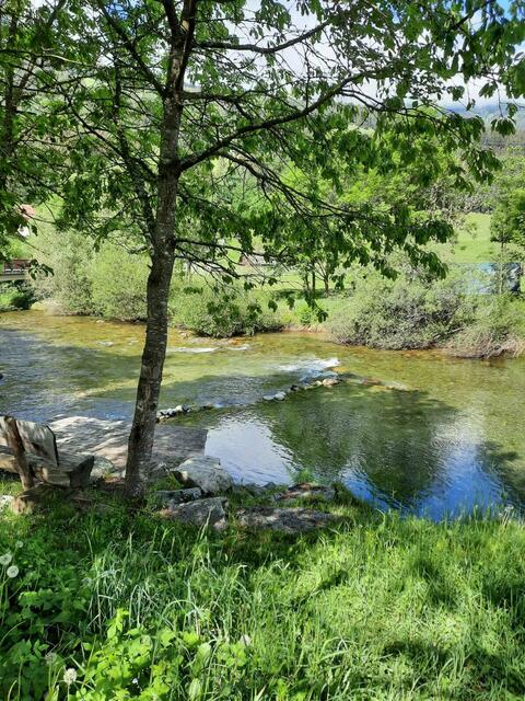 Nach zweijähriger Pause melden sich die Akteure des „Literarischen Vollmondspaziergangs“ zurück. | Foto: Stadtgemeinde Gmünd