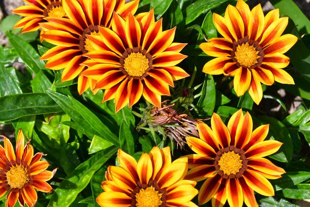 Einen schönen Nachmittag wünsche ich euch allen.