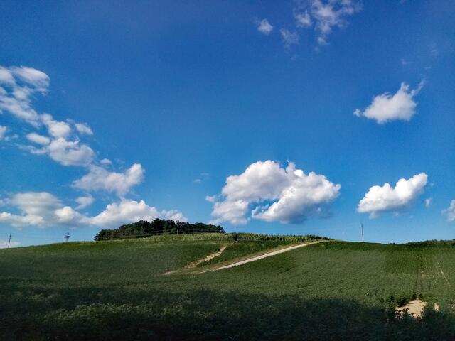 Blick von einem meiner Lieblingsplatzerl in Oberschützen 
