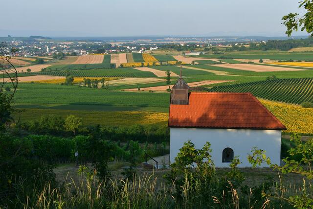 ...Franziskuskapelle mit Blick ins Blaufränkischland.