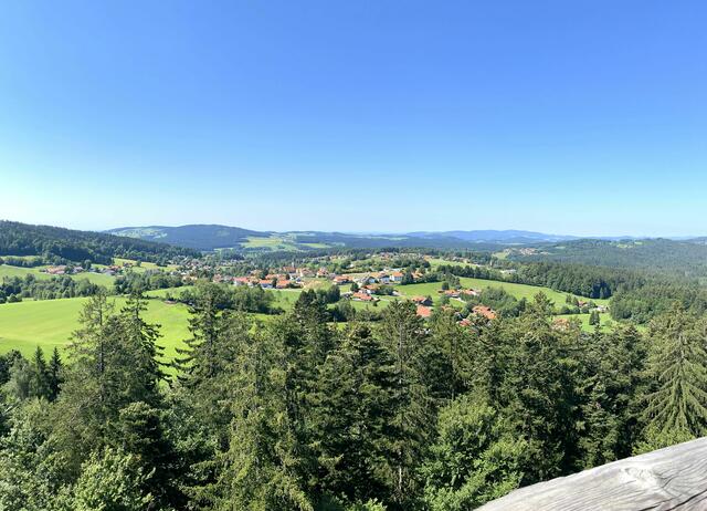 Blick auf Neuschönau | Foto: KK