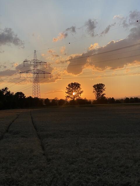 Noch schnell die letzten Sonnenstrahlen genießen ☀️ | Foto: Marlen Wohlmuth