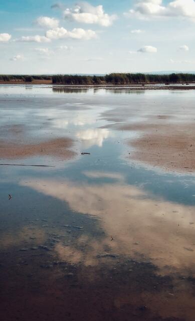 Vor 3 Wochen Nationalpark illmitz Neusiedler See 
@renatahfotografie 