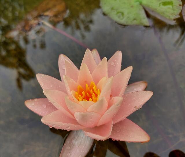 Immer wieder schön zum anschauen.