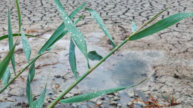 Nationalpark illmitz Neusiedler see 
@renatahfotografie 