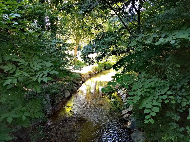 Lieblingsplatz in Oberschützen