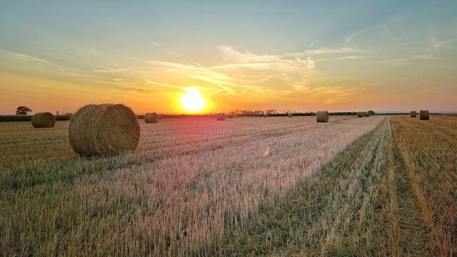 EINE SCHÖNE NEUE UND GESUNDE WOCHE!
BURGENLAND 
@renatahfotografie 