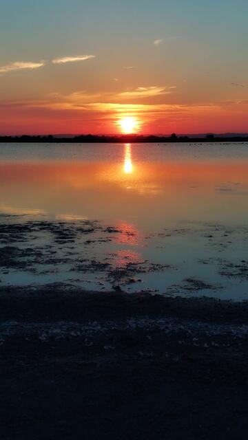 Sonnenuntergang 28.07.2022
Darscho Apetlon Burgenland 
@renatahfotografie 