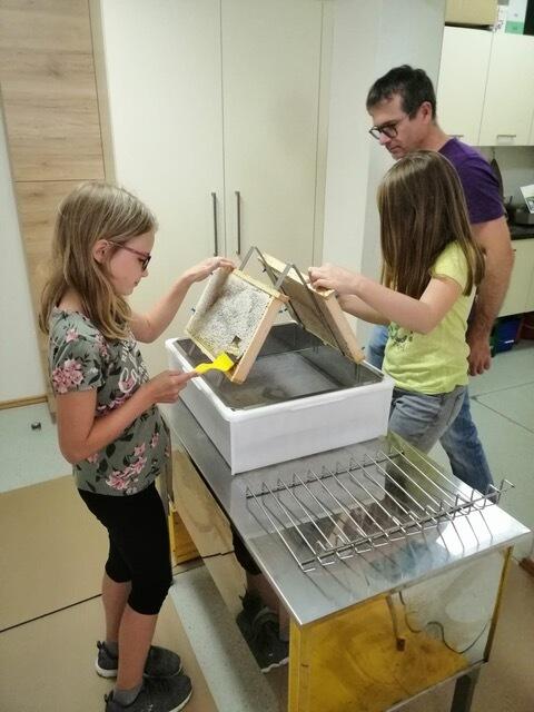 Die Imker der Zukunft werden beim Imkerverein St. Agatha ausgebildet. | Foto: Pamela Humer