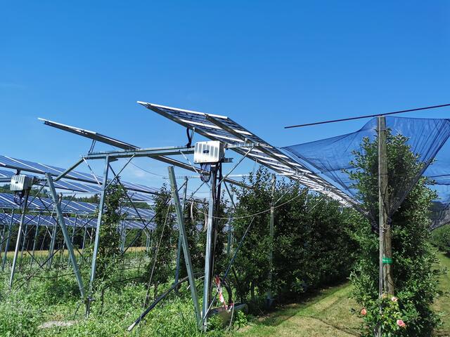 Foto: Johannes Wieser