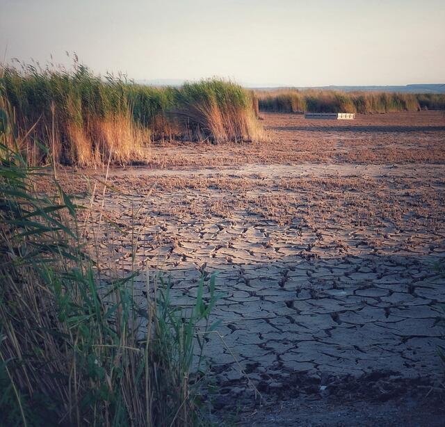 Illmitz Nationalpark Neusiedler See 
@renatahfotografie 