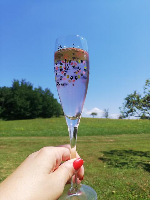 ... und auf mein Wohl. Somit gönne ich mir zwei Gläschen Sekt :). Liebe Grüße von Elisabeth!  | Foto: Elisabeth Paukovitsch