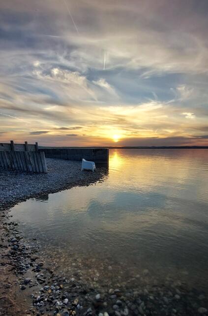 18.07.2022
Sonnenuntergang Illmitz 
@renatahfotografie 