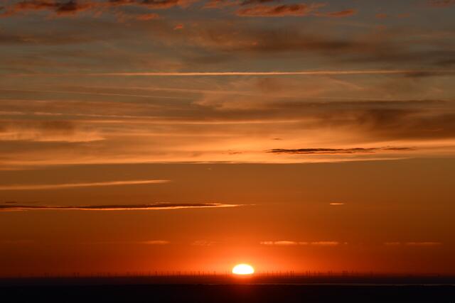Am Horizont die Windräder bei Parndorf.