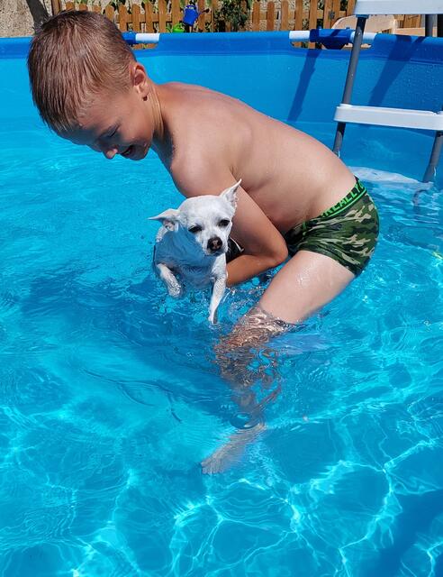 Unser Hund Benny und unser Noel 😍
Burgenland-Illmitz 
@renatahfotografie 
