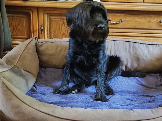 Wau, bin ich cool!!!!!!!