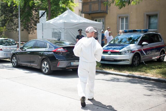 Bei dem Fall handelt es sich um ein 13-jähriges Mädchen, welches am 26. Juni vergangenen Jahres von Passanten tot auf einem Grünstreifen in der Donaustadt vorgefunden wurde. | Foto: MICHAEL GRUBER / APA / picturedesk.com