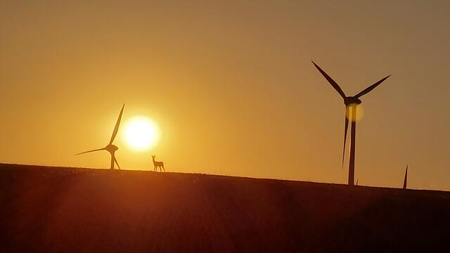 Wandern, abschalten und entspannen....am schönsten ist es daheim 