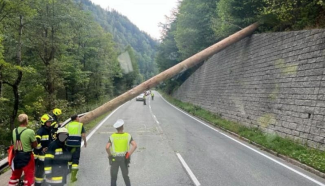 Baum blockiert Fahrbahn im Twimberger Graben. | Foto: FF Wolfsberg
