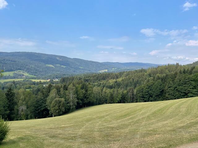 Von hier aus würde man die Windräder der Windparkes Soboth-Eibiswald am Hügelkamm gut sehen können. Die 15 Windkraftanlagen mit einer Nabenhöhe von 148 Metern würden am Höhenrücken Dreieckkogel, Narrenfelsen und Gradischkogel installiert werden. | Foto: Veronik