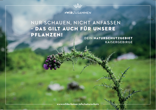 Foto: TVB Wilder Kaiser