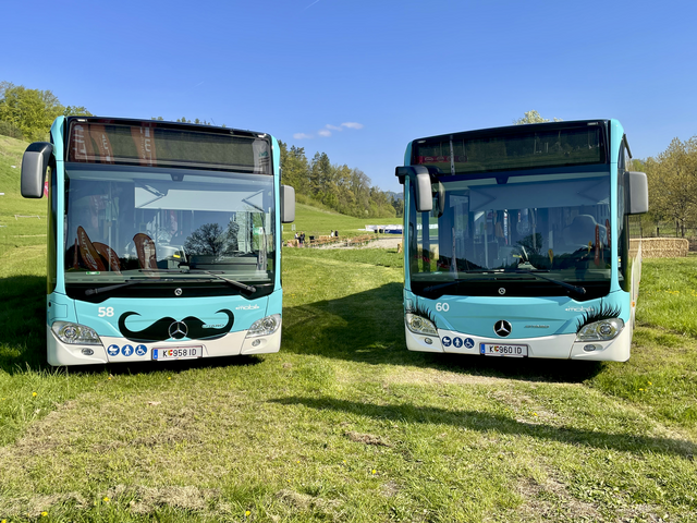 Die Stadtwerkebusse werden aufgrund des Altstadtzaubers umgeleitet. | Foto: MeinBezirk.at