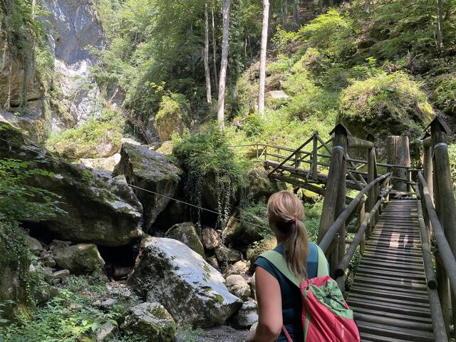 Schattig, idyllisch, schön: Die Treppen führen am Wasserfall rauf in einen Mischwald. | Foto: MeinBezirk.at