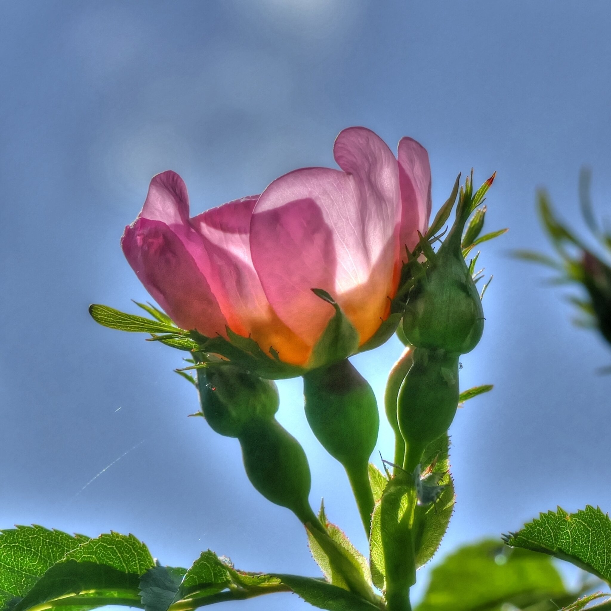 Zeig Uns Deine Bilder Com