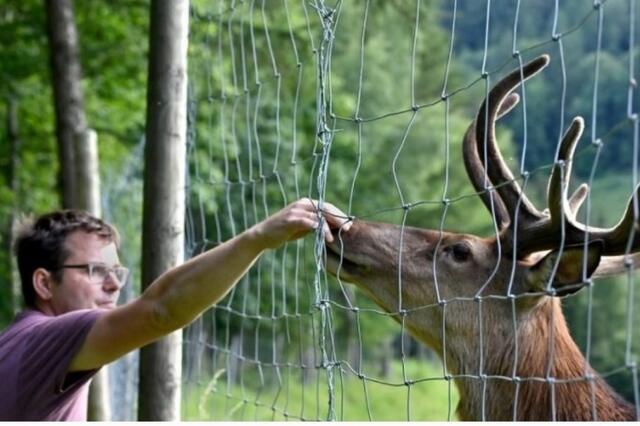 Foto: Waldpark Hochreiter