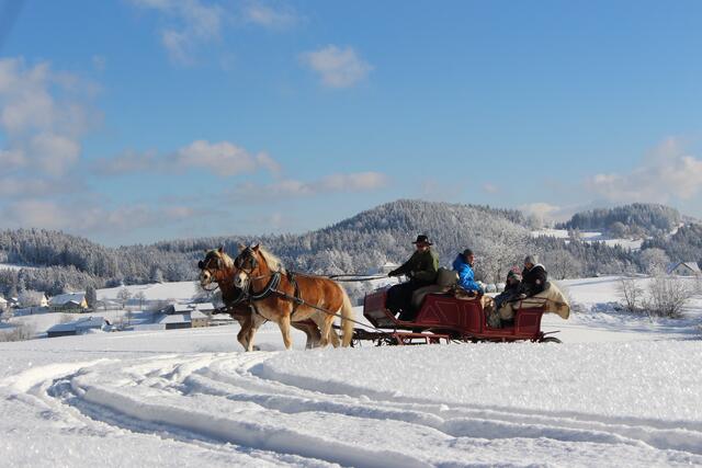 Der Georgs Kutscher Hof der Familie Windhager in St. Georgen am Walde bietet Pferdeschlittenfahrten an. | Foto: Georgs Kutscher Hof