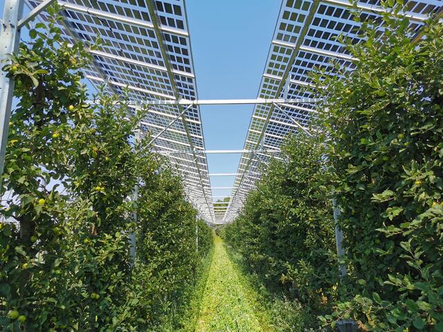 Lichtdurchlässige Paneele wie diese könnten Abhilfe schaffen. | Foto: Johannes Wieser