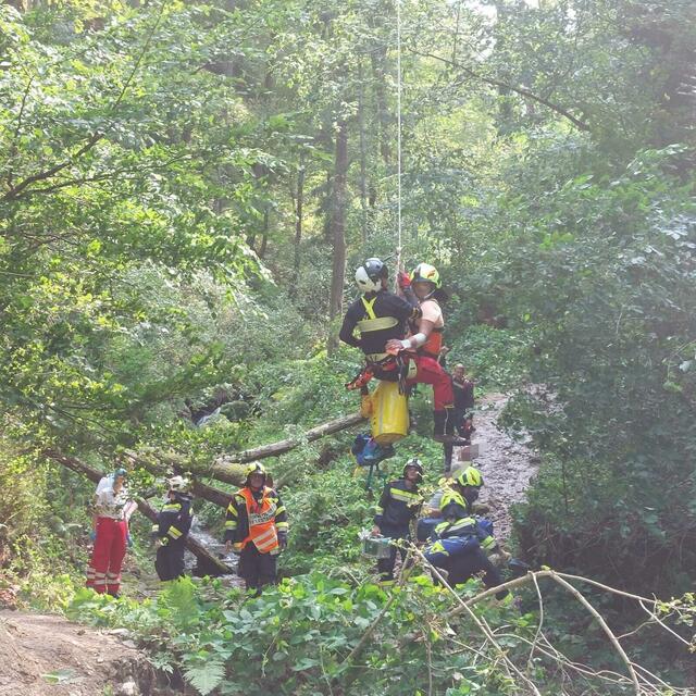 Foto: Pronegg/A. Ketschler/R. I Maier FF Leutschach