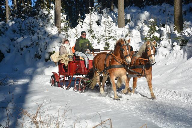 Der Georgs Kutscher Hof der Familie Windhager in St. Georgen am Walde bietet Pferdeschlittenfahrten an. | Foto: Georgs Kutscher Hof