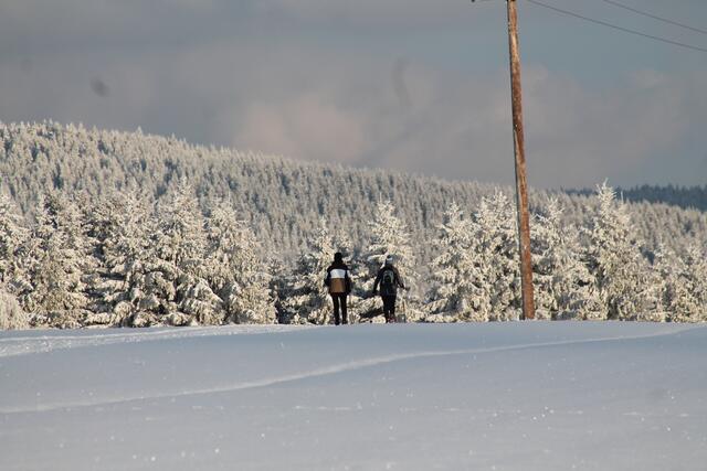 Langlaufen in St. Georgen am Walde. | Foto: BRS